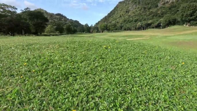 风景高尔夫球场改造