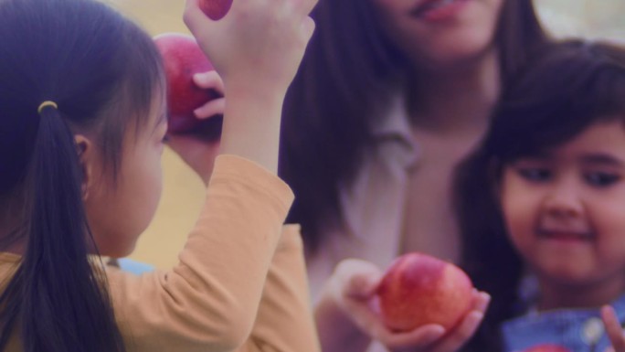 健康聪明的孩子学习技巧智力培养学习能力