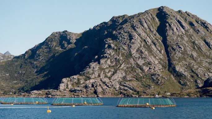 挪威养鱼场对山的背景