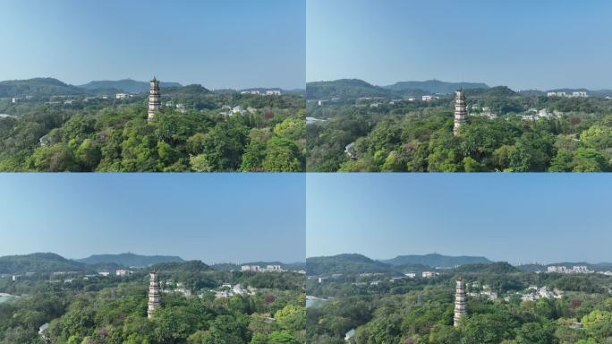 惠州西湖景区航拍惠州西湖泗洲塔湖泊风景