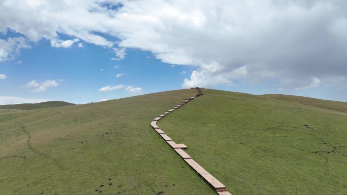 辽阔壮美的大草原高山草场新疆