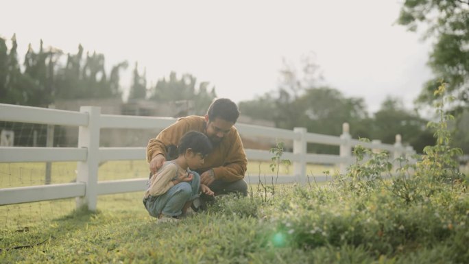 快乐的父亲和儿子喜欢在周末一起看小草花。在农场的田野里