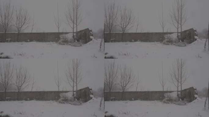 4Kslog2北方冬天残破院子下雪视频