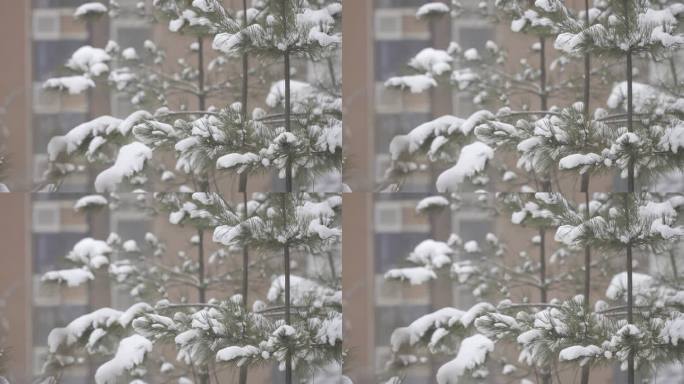 雪景