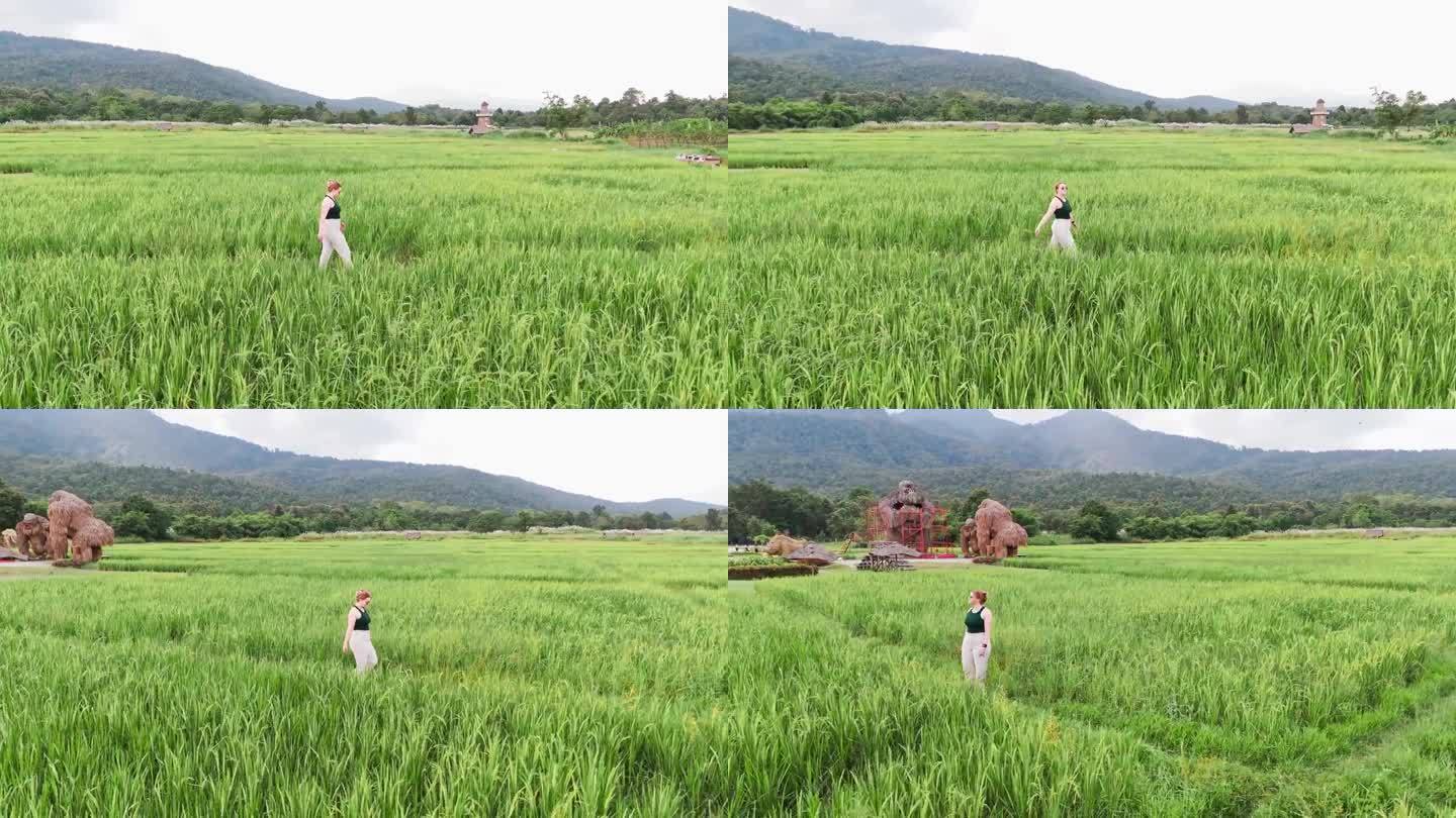 空中;一名妇女走在泰国北部的稻田里，背景是稻草雕塑