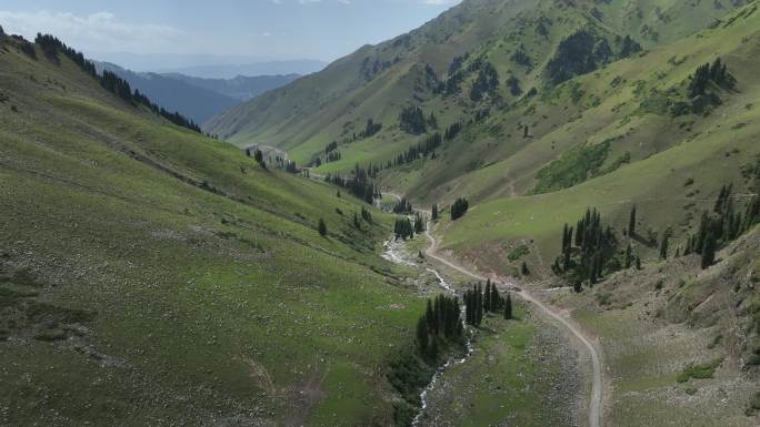 新疆小众原生态山谷森林深度自驾游坎苏沟