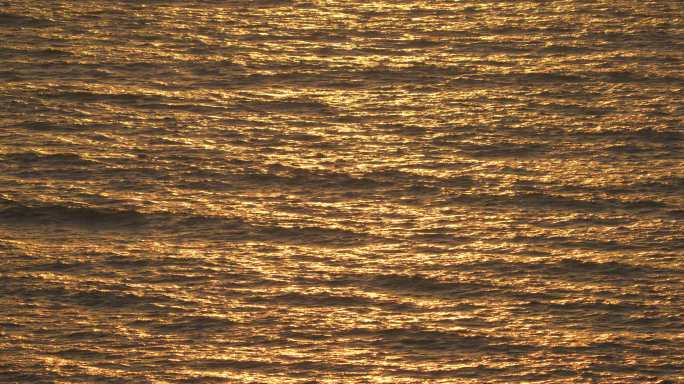 金色早晨金色海洋