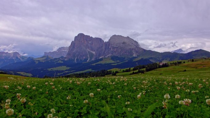 Alpe di Siusi在云中的时间变化。欧洲最高的平原位于意大利的多洛米蒂，前景是花田