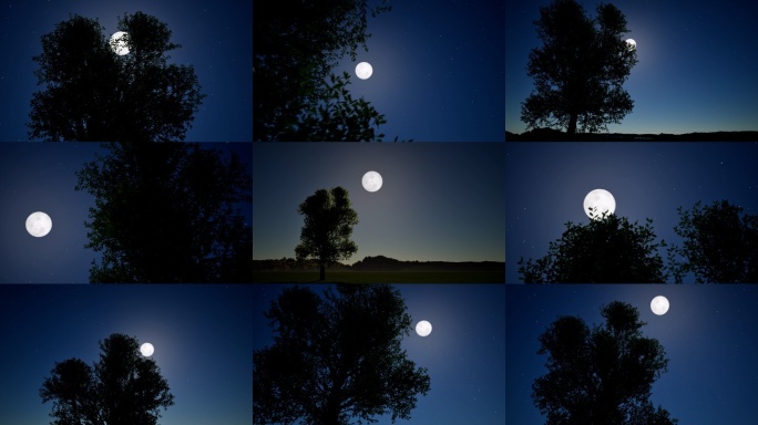 月亮爬上树梢中秋月亮傍晚月亮写意