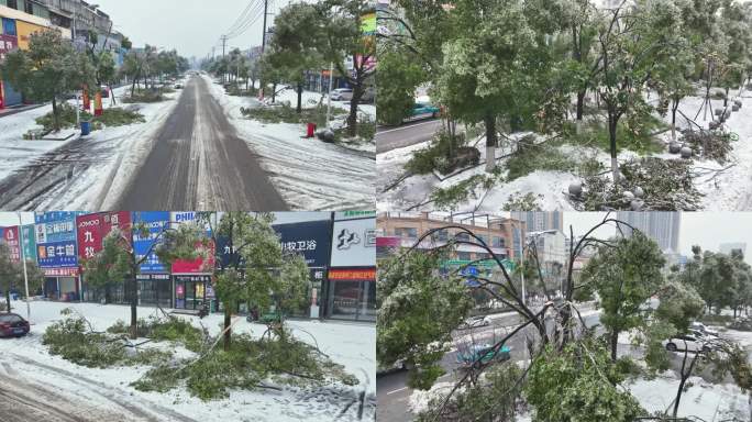 湖南岳阳冰冻雨雪灾害