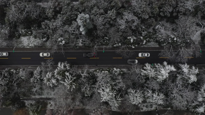 合肥市杏花公园周边雪景