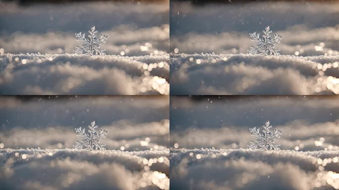 雪花特写雪景下雪天大雪纷飞白雪皑皑雪风景