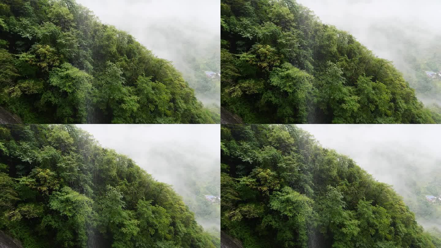 绿树成荫的鲁远坪峡谷山间阴雨连绵。高角度观看4k慢动作镜头。