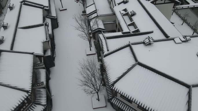 大唐司马雪景