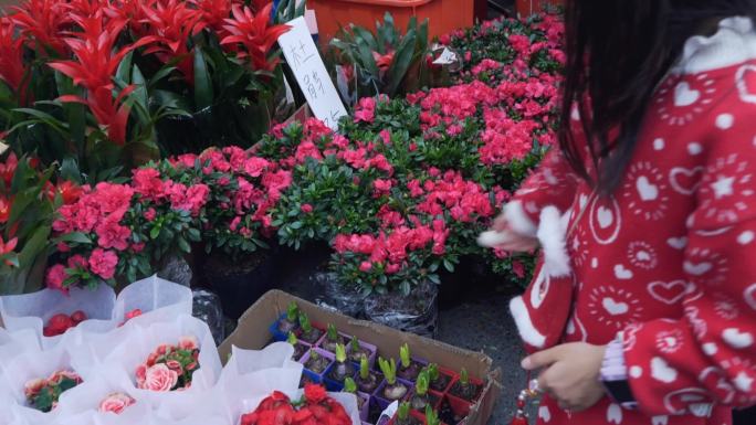 新年逛花市