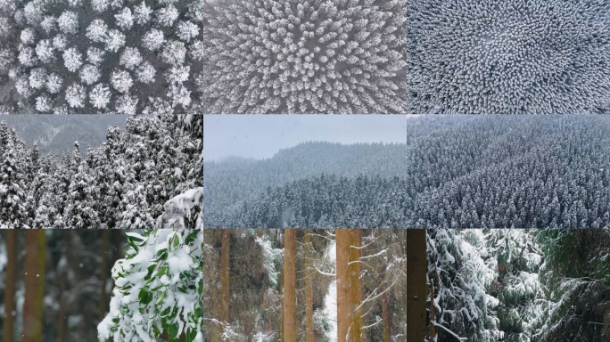 冬天冬季暴雪大雪纷飞森林下雪雪景航拍