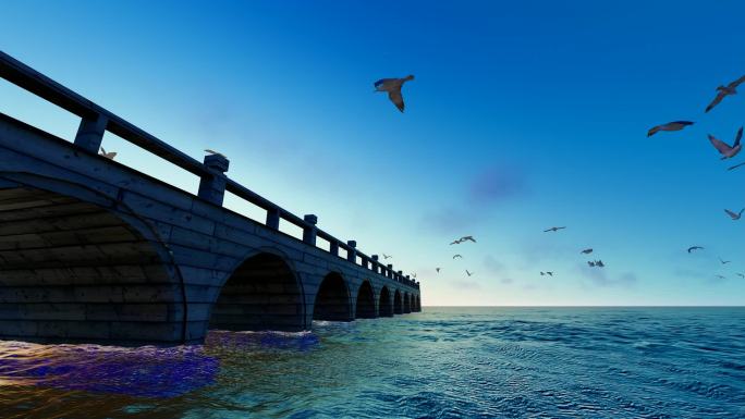 大海桥上漫天飞舞的海鸥慢动作