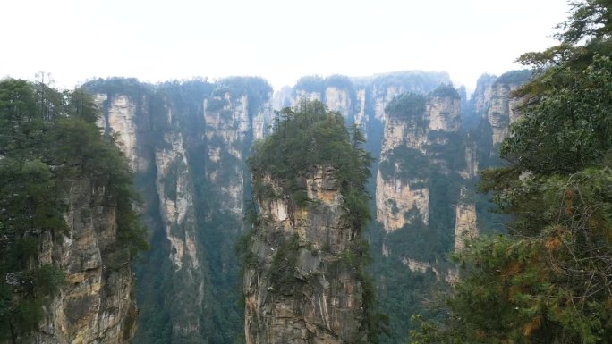 张家界国家公园里的哈利路亚山山顶绿意盎然，可能是白天拍摄的鸟瞰图。中国。