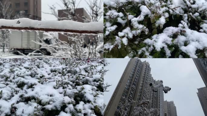 冰雪冻雨下雪