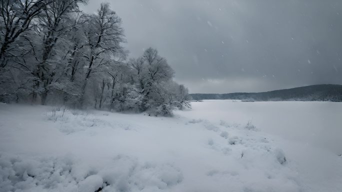 森林下雪天风景雪景唯美冬天下雪天大雪茫茫