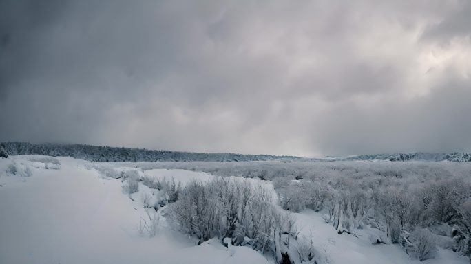 森林下雪天风景雪景唯美冬天下雪天大雪茫茫