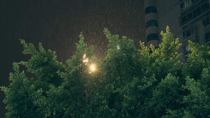 夜晚-下雨-阴雨-避雨-春雨