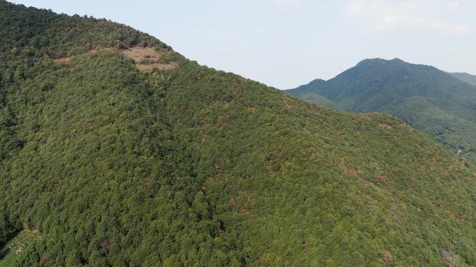 龙坞茶镇