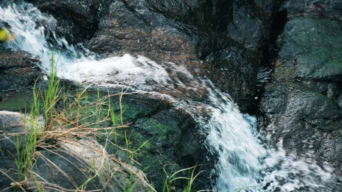 丛林山涧瀑布溪流潭水藤蔓阳光树叶合集