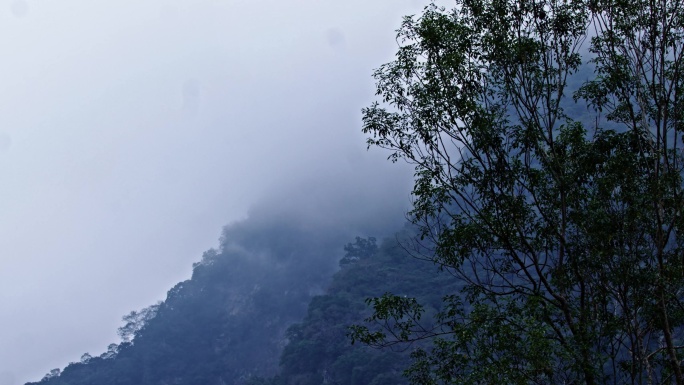 山景 峡谷 山涧 吊桥 景观 云雾