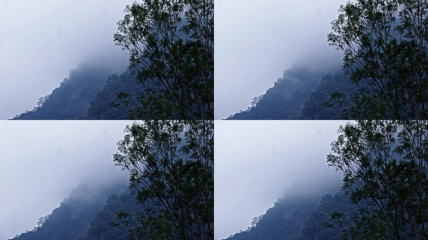 山景 峡谷 山涧 吊桥 景观 云雾