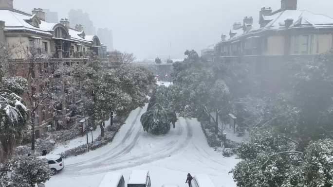 下雪 雪花飞舞