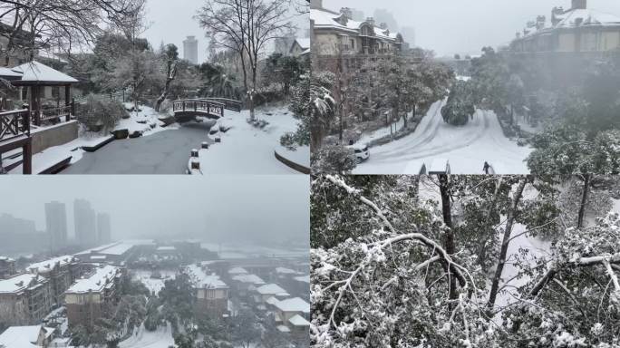 下雪 雪花飞舞