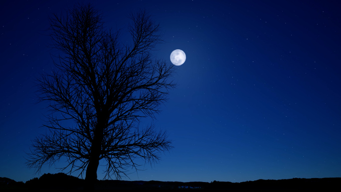 夜晚月亮爬上树梢傍晚月亮十五月圆中秋月亮