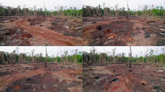 鸟瞰森林被砍伐地区，揭示了环境退化和自然景观丧失的严重后果。