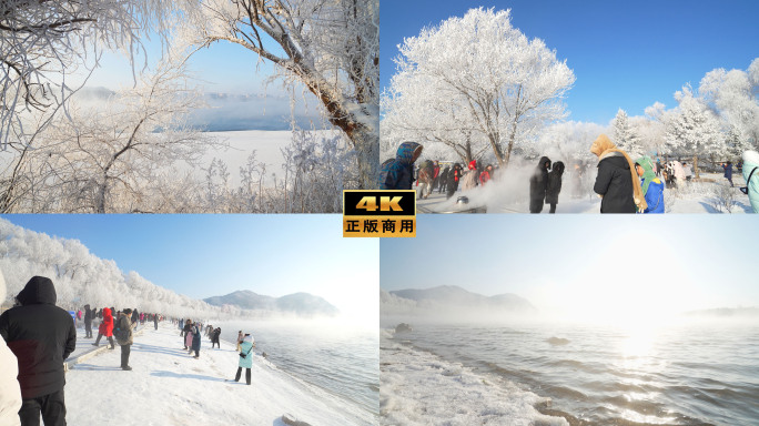 冰雪旅游 吉林雾凇