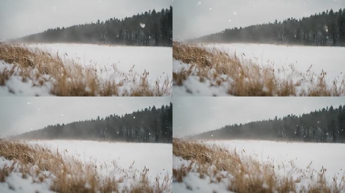 森林下雪天风景雪景唯美冬天下雪天大雪茫茫