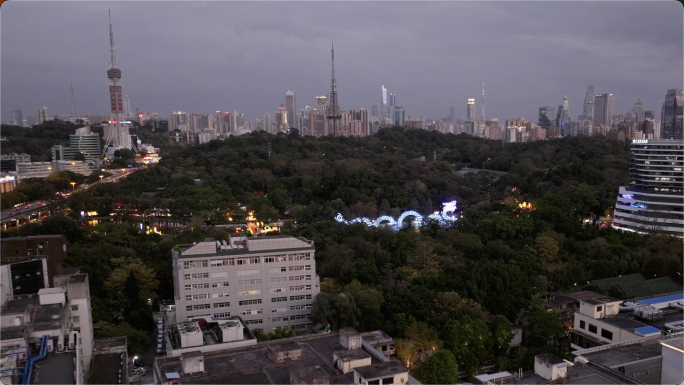 广州越秀公园2024灯会夜景02