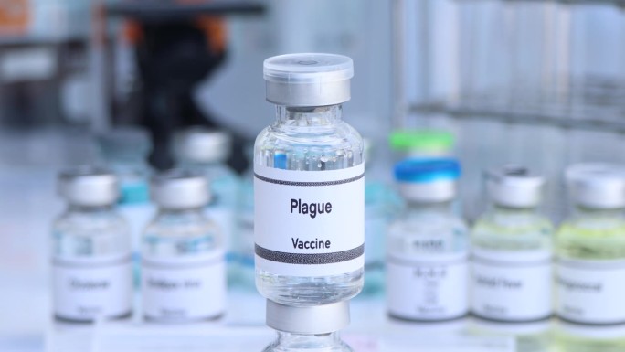 鼠疫疫苗装在小瓶中，用于免疫和治疗感染