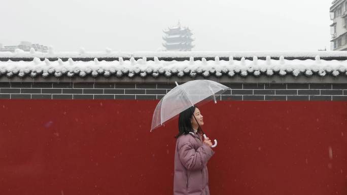 2024年冻雨 武汉雪景黄鹤楼省博物馆