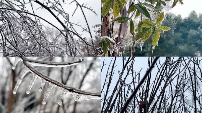 南方冬天冰雪灾害冻雨灾害极端天气