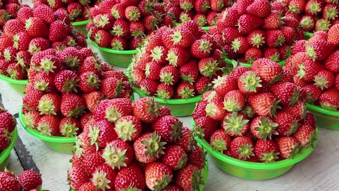 草莓盆装特写草莓