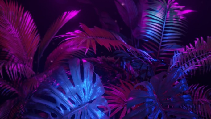 紫色和蓝色的霓虹灯在热带植物的黑暗丛林。循环动画。