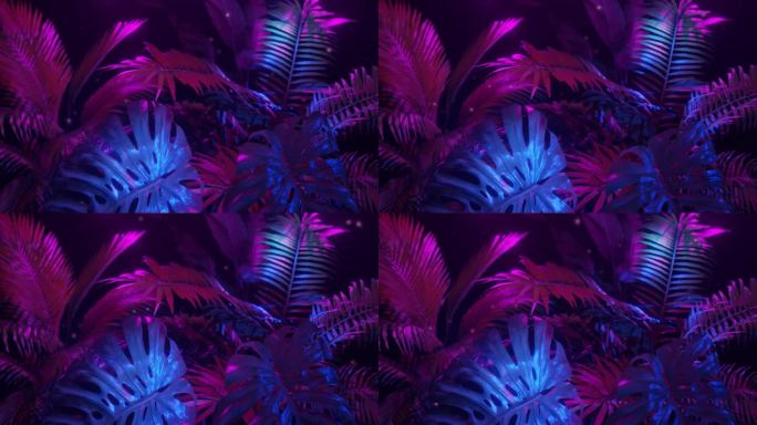 紫色和蓝色的霓虹灯在热带植物的黑暗丛林。循环动画。