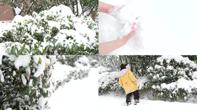 玩雪积雪雪景抓雪