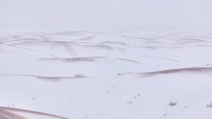 沙漠雪景骆驼