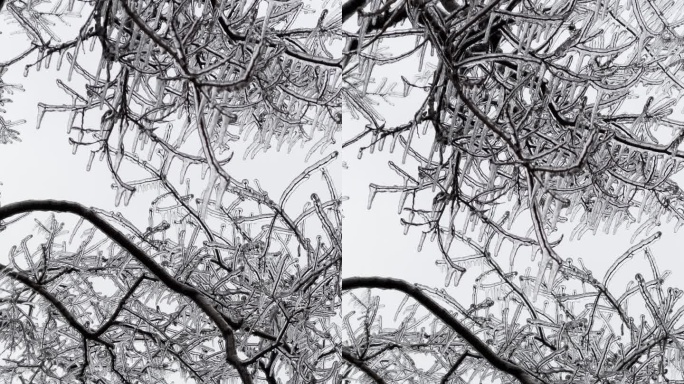 风景冰雪洁白纯净