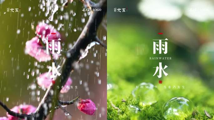 【原创拍摄可商用】雨水创意节气 AE模板