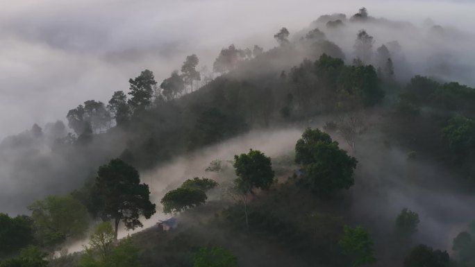 茶山云海日出