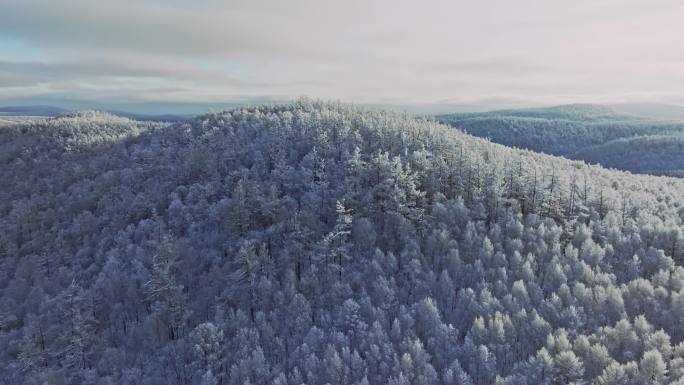 航拍大兴安岭冬日雾凇雪凇美景