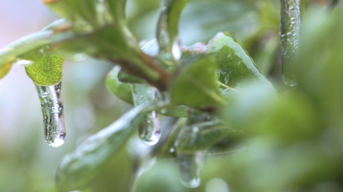 湖南冻雨